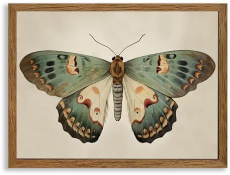 AVECCO Vintage Green Butterfly Decor Framed Wall Art Canvas 12x16 inch by Unknown