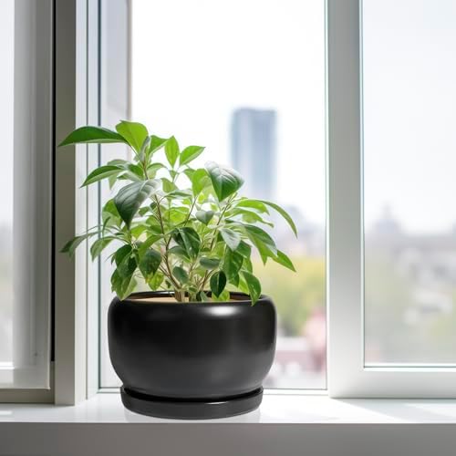 SQOWL Ceramic Flower Pot - 10 Inch Planter with Drainage Hole and Saucer, Modern Large Plant Pot Indoor Outdoor, Decorative Round Planter, Bedroom Decor, Gifts for Plant Lovers, Black - Image 4