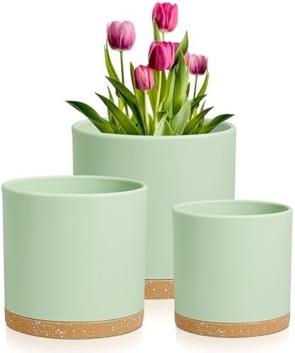 Meowell 8/7/6 inch Plant Pots, 3 Pack Cylinder Flower Pots for Outdoor Indoor Plants, Decorative Plastic Planters with Drainage Holes and Saucers for Garden House Plants, Green with Brown by Meowell