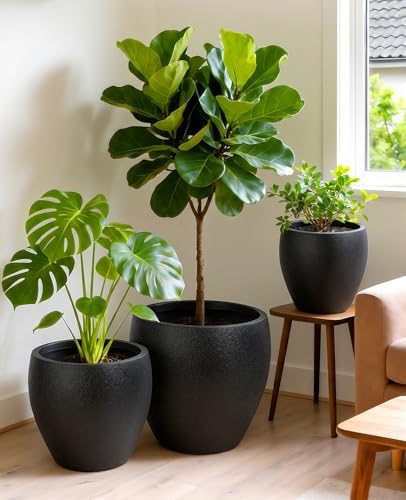 homenote 14.5/12/9.7 Inch Large Plastic Flower Pots with Drainage (3 Pcs) - Image 4
