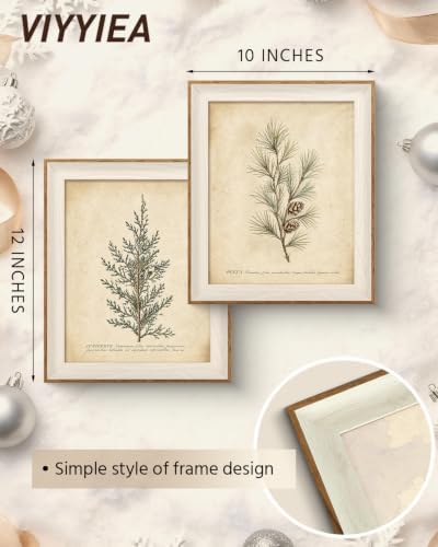 VIYYIEA Framed Vintage Christmas Pine Botanical Wall Art Set, 10x12 Inch - Image 5