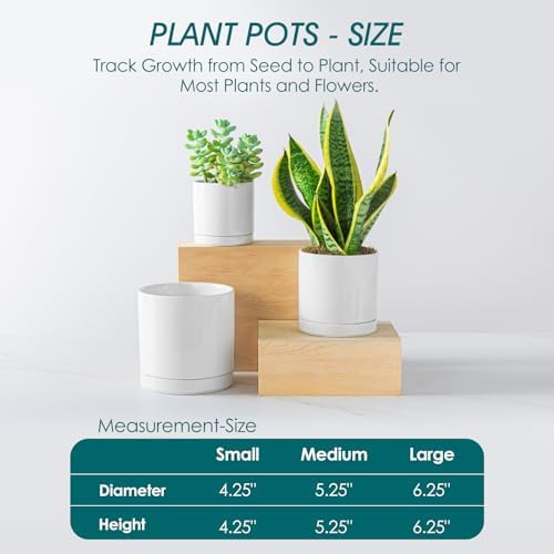 vancasso Ceramic Plant Pots, 3 Piece Planters for Indoor Plants, White - Image 2