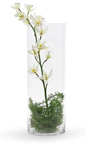 WGV Cylinder Vase Bulk, Width 7", Height 20", Clear Wide Large Diameter Flower Glassware, Floral Container, Planter Terrarium for Wedding Party Event, Home Accent Decor, 4 Pieces - Image 4