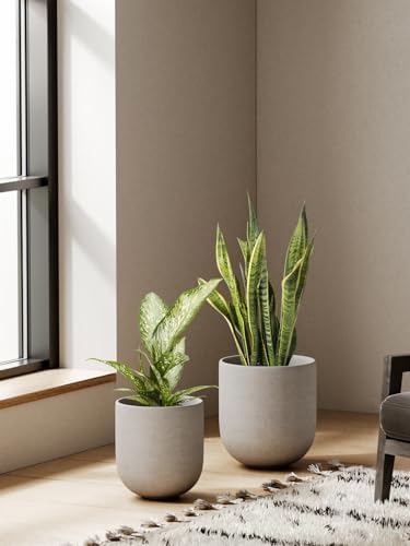 LE TAUCI 6, 8 & 10 Inch Ceramic Planter Set for Indoor Plants, Neutral Gray - Image 6