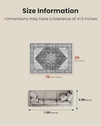 Amada 5x7 Washable Area Rug for Living Room, Light/Gray, Vintage Style - Image 2