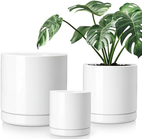 vancasso Ceramic Planters, Plant Pots for Indoor Plants, 6.25+8.25+10.25 Inch Ceramic Pots for Plants, Flower Pots with Drainage Holes, Planters Pot for Indoor House Plant, Set of 3, White by vancasso