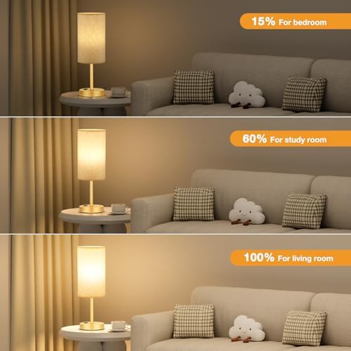 Fenmzee 17.4" Gold Lamp for Bedroom - Dimmable Touch, USB A+C, AC Outlet - Image 3