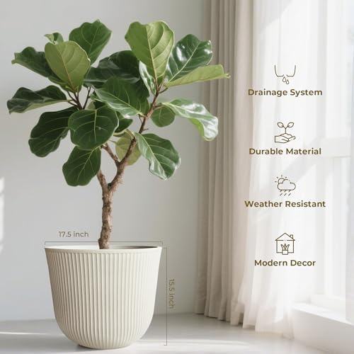 Worth Garden Round Large Planter Pot Set of 2-17.5" Dia x 15.5" H - Durable Plastic Beige Plant Tree Pots with Vertical Stripe Textured Finish, Drainage Hole for Indoor, Outdoor, Front Porch, Patio - Image 6