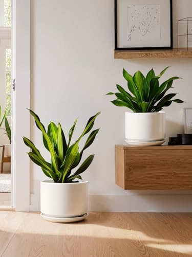 LE TAUCI 10 + 12 Inch Ceramic Plant Pots, Set of 2, White - Image 6