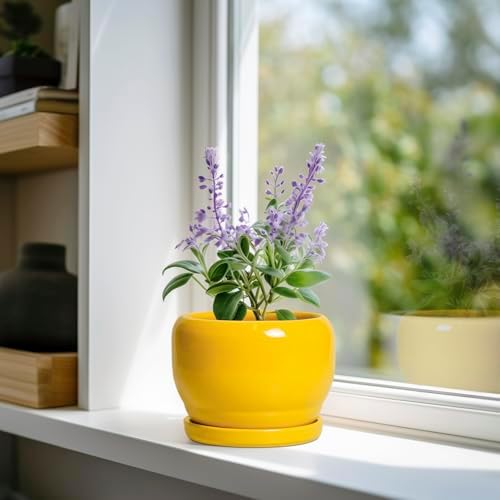 SQOWL 6 Inch Plant Pot - Ceramic Planter with Drainage Hole and Saucer, Modern Ceramic Flower Pots for Indoor Plants Outdoor, Round Decorative Small Planter, Desk Decor, Garden Gifts, Yellow - Image 2