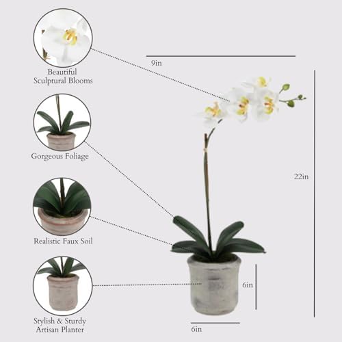 CG Hunter, Faux Phalaenopsis White Orchid Plant, Set of 2, 22 in, White - Image 2