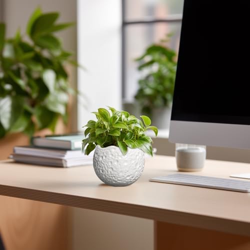 4 Inch Plant Pots - Ceramic Pots for Plants with Drainage Hole, Small Planter for Indoor Outdoor, Unique Succulent Pot, Decorative Modern Round Planter, Desk Decor, Plant Lover Gifts, White - Image 4