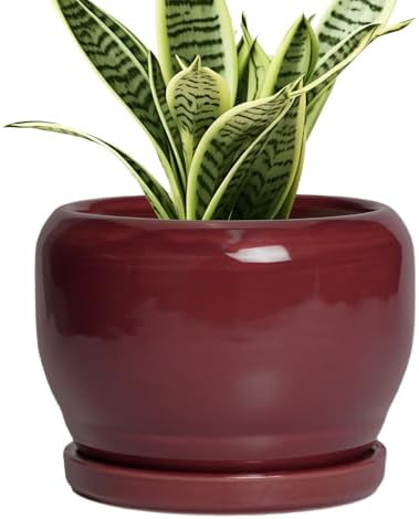 SQOWL 6 Inch Plant Pot - Ceramic Planter for Indoor Plants Outdoor, Round Planter with Drainage Hole and Saucer, Decorative Modern Small Flower Pots, Room Decor, Gifts for Plant Lovers, Red by SQOWL