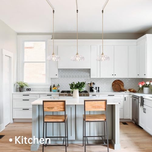 Shenmoyl Plug in Pendant Light Hanging Light Fixtures with Plugin Cord On/Off Switch,Clear Scindapsus Glass Lampshade Brass Pendant Light - Image 3
