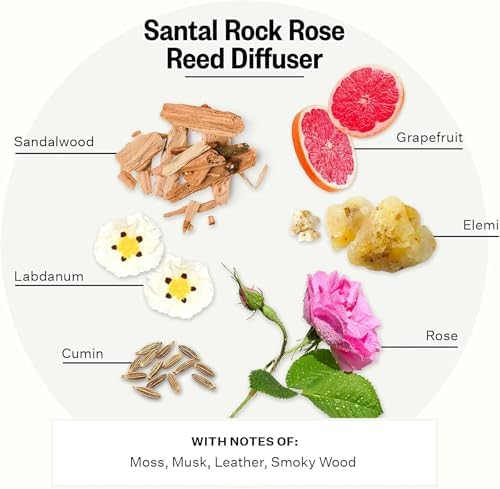 Apotheke Scented Reed Diffuser for Home, Santal Rock Rose, 10 Reed Sticks - Image 3