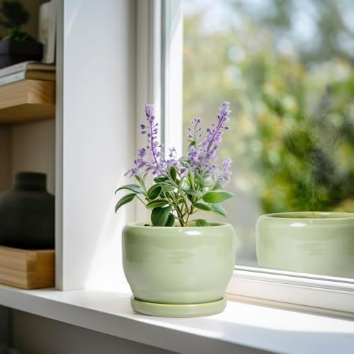 SQOWL Ceramic Pot for Plants - 6 Inch Planter for Indoor Outdoor Plants, Round Decorative Flower Pot with Drainage Hole and Saucer, Modern Small Planter, Patio Decor, Garden Gifts, Green - Image 2