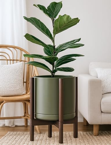 D'vine Dev Ceramic Pot with Walnut Wood Stand, Olive, 12 in, 55-B-W-J - Image 2