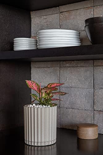 Veradek Demi Series Demi 6" Planter w/Tray, Sand - Image 5