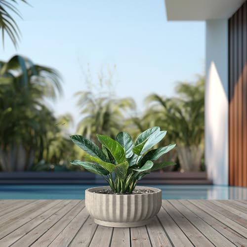 Kante Large Round Shallow Weathered Concrete Planter 20.9" Dia, Outdoor - Image 6
