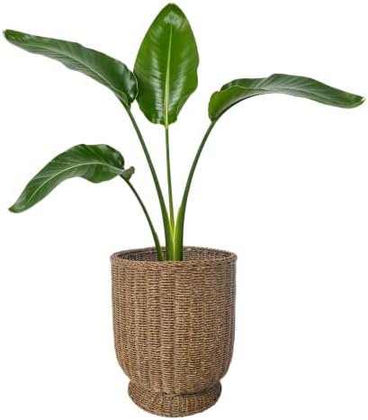 Rattan Planter, Woven Planter Basket for Plants Indoor Outdoor, Rattan Flower Pot, Decorative Plant Holder Basket for Garden Patio Boho Home Decor(Brown-Small:12.2" H x 10.24" W) by Unknown