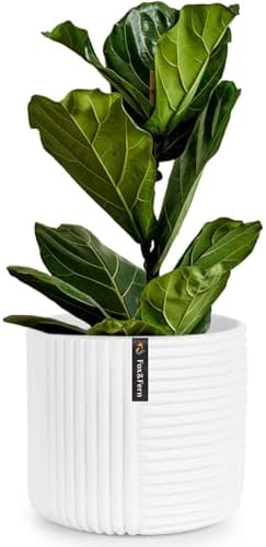 Fox & Fern Large Planter for Indoor or Outdoor, White Matte, 12 Inch by FoxFern