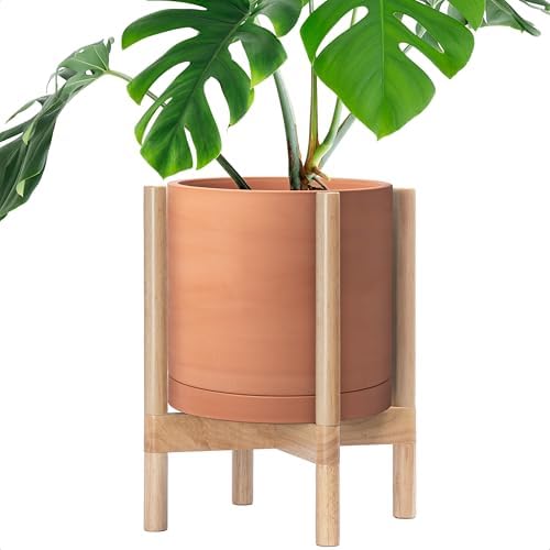 D'vine Dev Terracotta Pot with Natural Wood Stand, 12 in, 55-B-J-5 by DvineDevPlanterPotsandStand