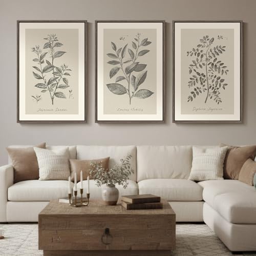 Large Framed 3 Piece Vintage Botanical Wall Art for Living Room, 24x36 In by Cuspin