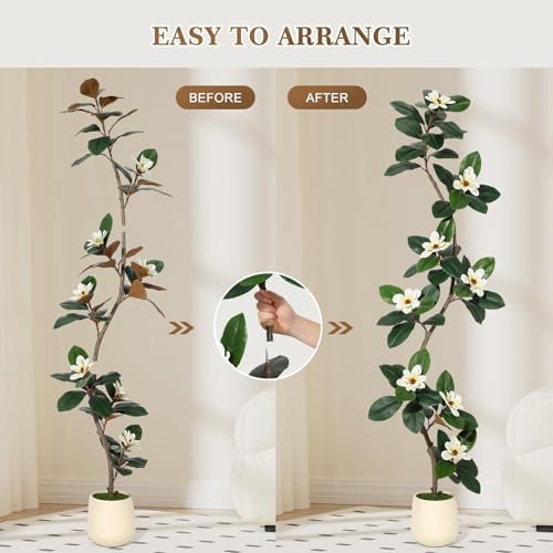 7FT Tall Lifelike Artificial Magnolia Tree with 8 Pcs Magnolia Flowers in White Planter Pot, Rubber Tree Faux Plants Indoor Artificial Plants & Flowers for Home Office Living Room Decor - Image 3