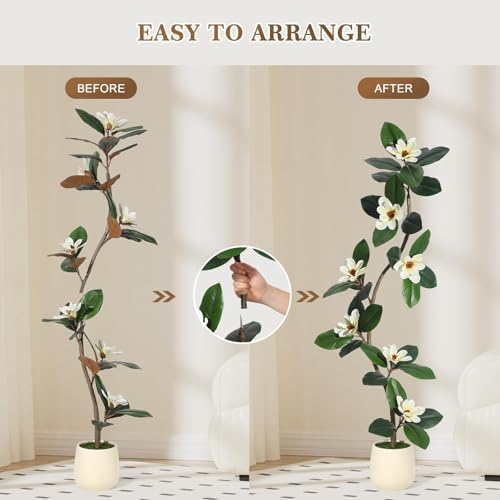 5FT Tall Lifelike Artificial Magnolia Tree with 7 Pcs Magnolia Flowers in White Planter Pot, Rubber Tree Faux Plants Indoor Artificial Plants & Flowers for Home Office Living Room Decor - Image 3