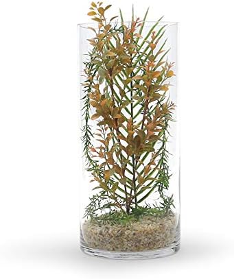 WGV Cylinder Vase, Width 7", Height 16", Clear Wide Large Diameter Flower Glassware, Floral Container, Planter Terrarium for Wedding Party Event, Home Accent Decor, 1 Piece - Image 4