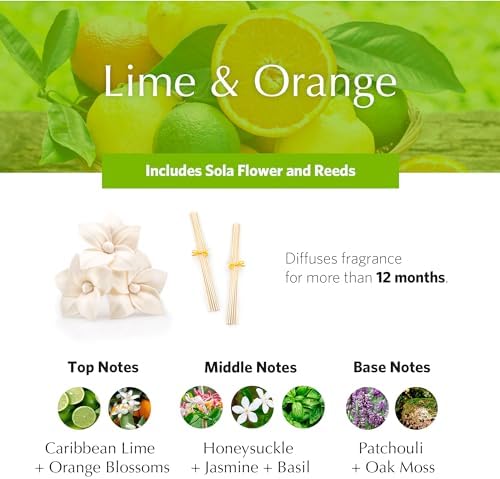AGRARIA AirEssence Flower and Reed Diffuser Set, Handmade Sola Flower Botanical Home Fragrance Set, Scented Oil Reed Diffuser Gift for All Occasions - Image 3