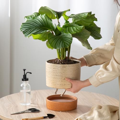 8 Inch Ceramic Self Watering Planter with Drainage Hole, Brush - Image 4