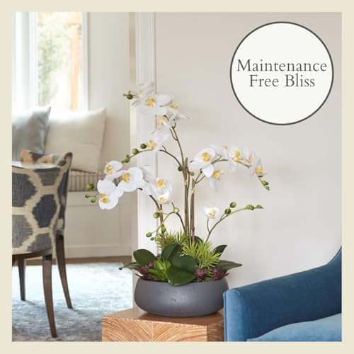 CG Hunter, Faux Orchid Plant w/Succulents, 24 in, Grey, Home Decor - Image 6
