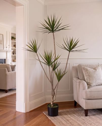 6FT Artificial Dracaena Plant Faux Tree with Detachable Branches - Image 3
