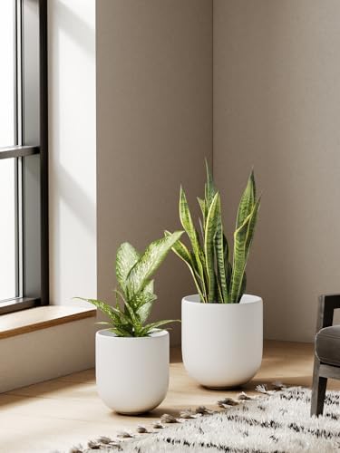 LE TAUCI 6, 8 & 10 Inch Ceramic Planter Set for Indoor Plants, White - Image 6