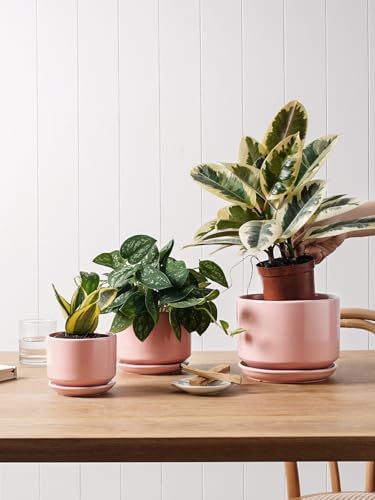 LE TAUCI Ceramic Pots for Plants, 4.3+5.3+6.8 Inch, Set of 3, Pink - Image 4