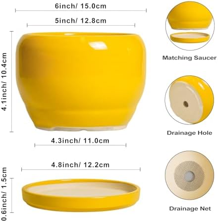 SQOWL 6 Inch Plant Pot - Ceramic Planter with Drainage Hole and Saucer, Modern Ceramic Flower Pots for Indoor Plants Outdoor, Round Decorative Small Planter, Desk Decor, Garden Gifts, Yellow - Image 3