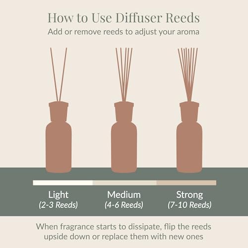 Archipelago Botanicals Currant Reed Diffuser, Includes Fragrance Oil, Decorative Wooden Cap and 10 Diffuser Reeds, Perfect for Home, Office or a Gift (7.85 fl oz) - Image 4