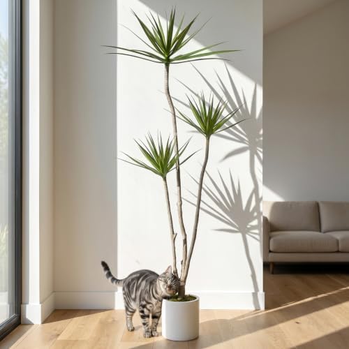 5.2FT Artificial Dracaena Marginata Tree for Indoor Outdoor Decor - Image 4