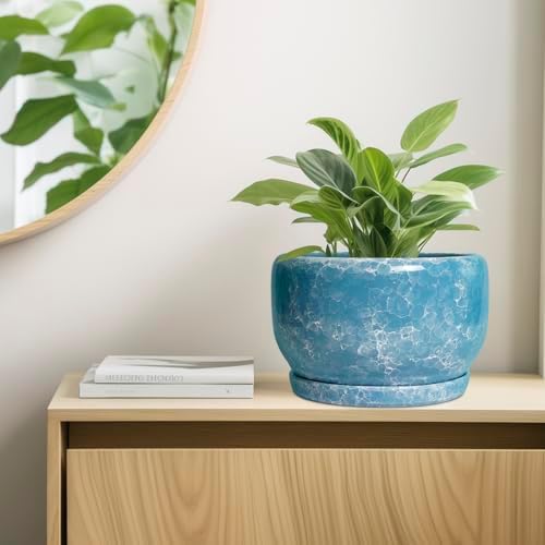 SQOWL Ceramic Planters - 10 Inch Plant Pot Indoor with Drainage Hole and Saucer, Decorative Flower Pot Outdoor, Round Large Planter, Living Room Office Garden Decor, Plant Lover Gifts for Women, Blue - Image 7