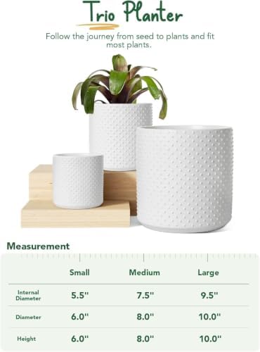 LE TAUCI 10+8+6 Inch Ceramic Pots for Plants, Indoor Planters with Drainage Hole and Plug, Raised Dots Cylinder Flower Pots Set of 3 for Living Room and Bedroom, Matte, White - Image 5