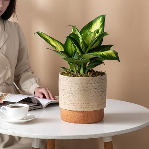 8 Inch Ceramic Self Watering Planter with Drainage Hole, Brush - Image 3