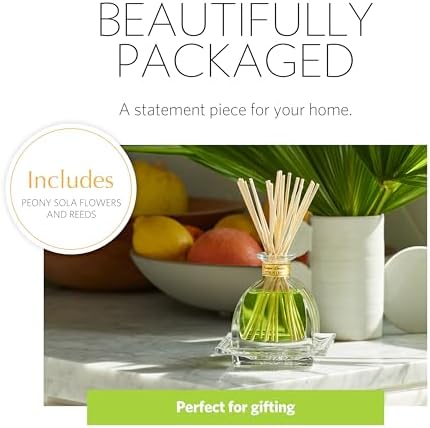 AGRARIA Citrus Lily AirEssence Reed Diffuser Set, 7.4 fl oz - Image 2