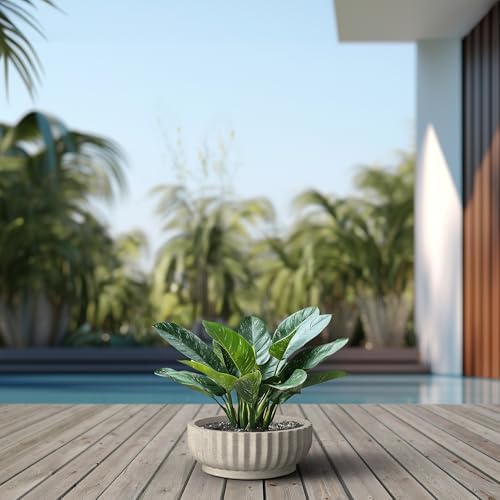 Kante Accent Round Shallow Weathered Concrete Planter 14.6" Dia, Outdoor - Image 4