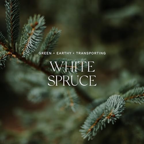 Antica Farmacista Reed Diffuser, White Spruce, 8.45 fl oz - Image 3