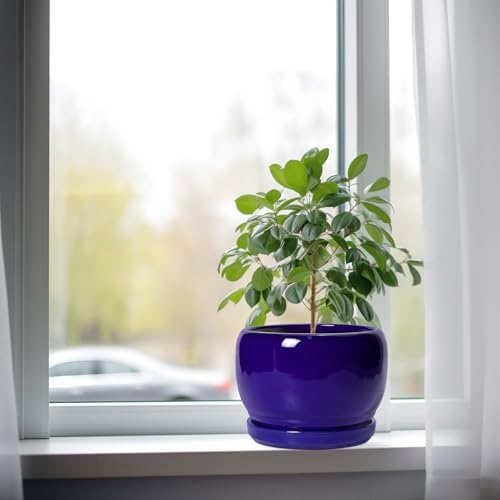 SQOWL 8 Inch Plant Pot - Ceramic Planter for Indoor Plants Outdoor, Ceramic Flower Pot with Drainage Hole and Saucer, Modern Round Planter, Bathroom Decor, Gifts for Plant Lovers, Blue - Image 4