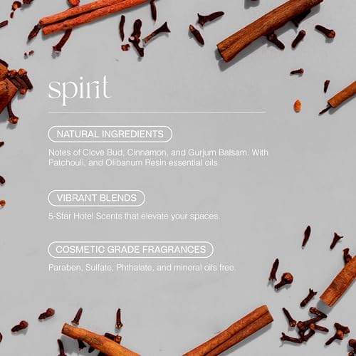 Doctor Aromas Premium Reed Diffuser Diffuser Glass Jar Set Elegant Scent for Home, Room or Bathroom and Fresh Air Scent Lasting Home Fragrance Over 90 Days (Pack of 1, Spirit) - Image 3