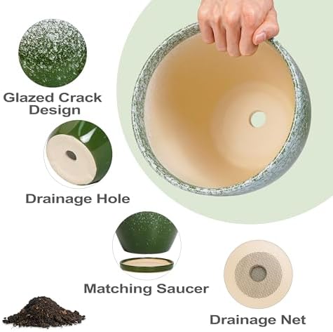 Ceramic Planters 3 Pack - 10 Inch 8 Inch 6 Inch Plant Pots for Indoor Outdoor, Round Decorative Flower Pots with Drainage Holes and Saucers, Garden Home Decor, Gift for Women Men, Green - Image 6