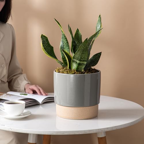 8 Inch Ceramic Self Watering Planter with Drainage Hole, Dark Grey - Image 6