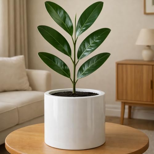 Fox & Fern Large Planter for Indoor or Outdoor, White Glossy, 8 Inch by FoxFern